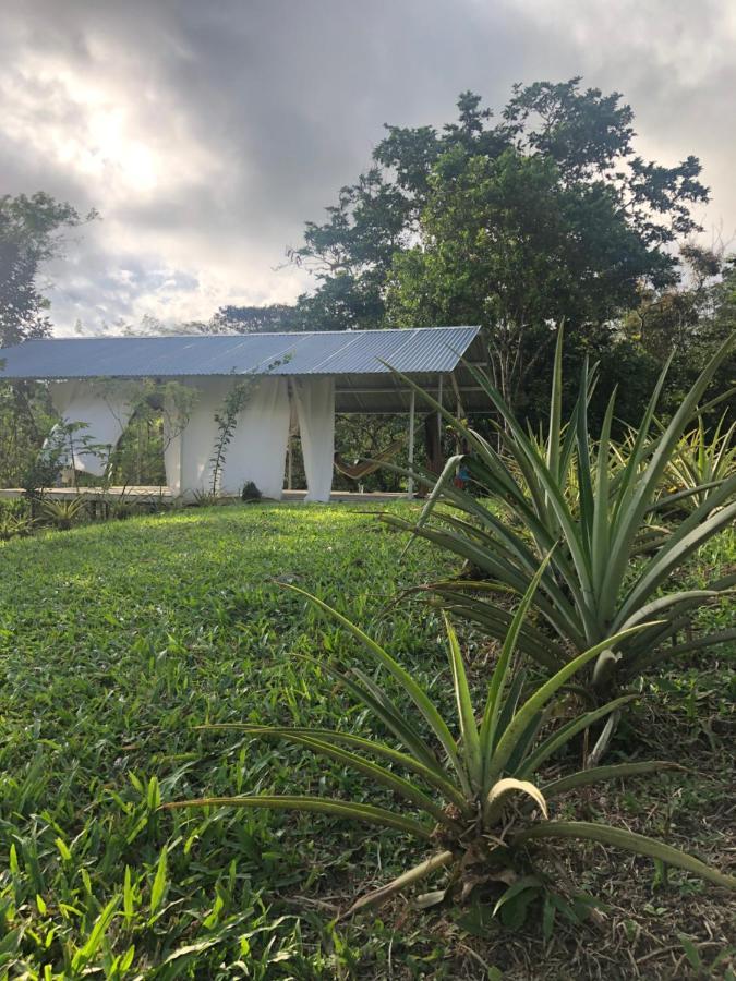 Soursop Hostel Cueta ภายนอก รูปภาพ