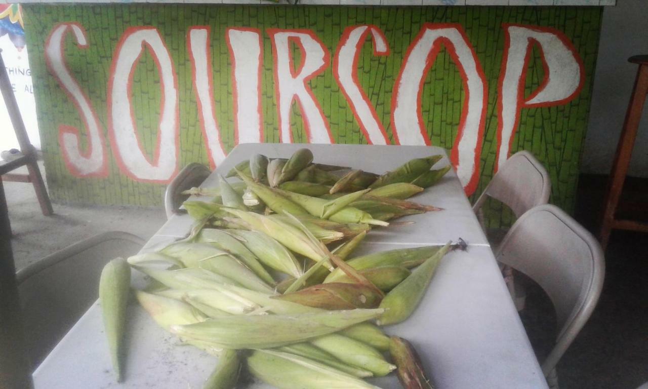 Soursop Hostel Cueta ภายนอก รูปภาพ