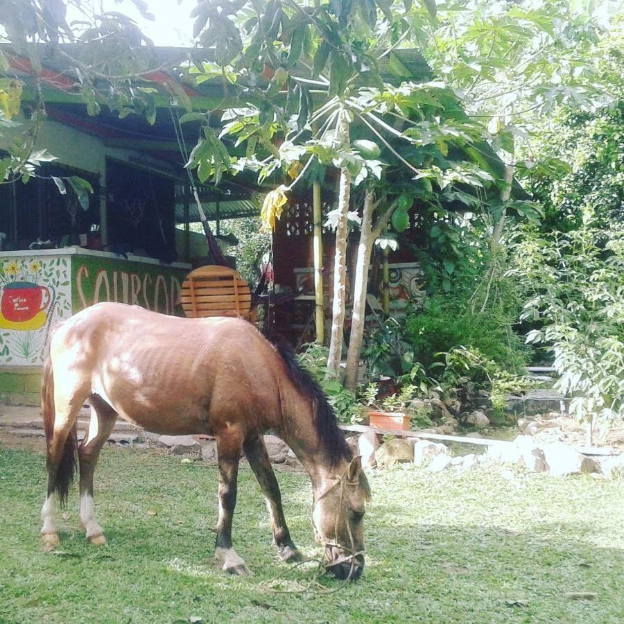 Soursop Hostel Cueta ภายนอก รูปภาพ